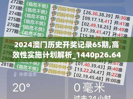 2024澳门历史开奖记录65期,高效性实施计划解析_1440p26.644-5