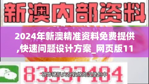 2024年新澳精准资料免费提供,快速问题设计方案_网页版111.955-9