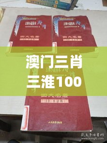 澳门三肖三淮100淮,经典解读解析_创意版121.450-4