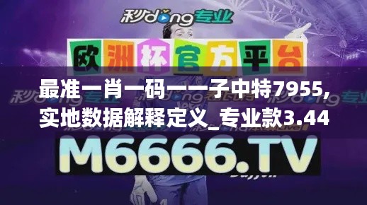 最准一肖一码一一子中特7955,实地数据解释定义_专业款3.448-4