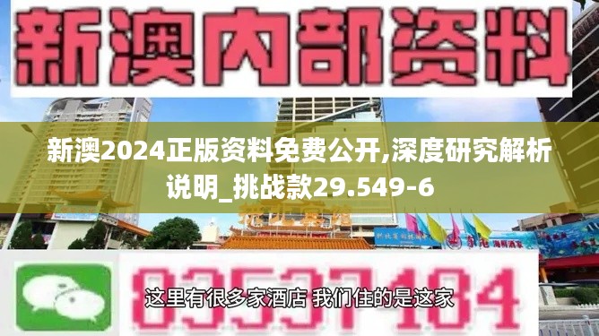 新澳2024正版资料免费公开,深度研究解析说明_挑战款29.549-6