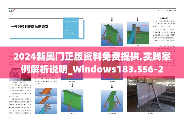 2024新奥门正版资料免费提拱,实践案例解析说明_Windows183.556-2