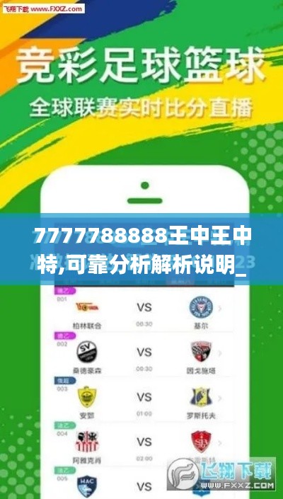 7777788888王中王中特,可靠分析解析说明_超值版19.336-3