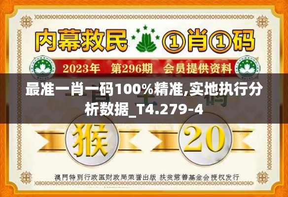 最准一肖一码100%精准,实地执行分析数据_T4.279-4