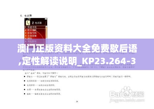 澳门正版资料大全免费歇后语,定性解读说明_KP23.264-3