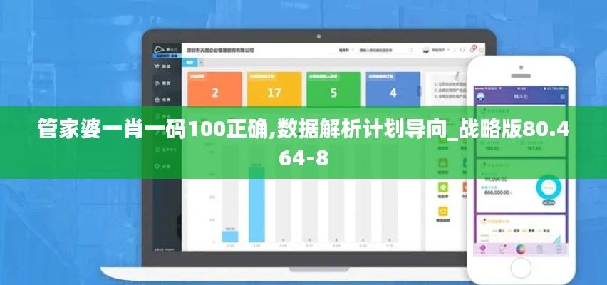 管家婆一肖一码100正确,数据解析计划导向_战略版80.464-8