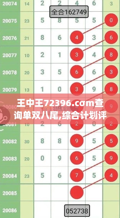 王中王72396.cσm查询单双八尾,综合计划评估说明_BT91.756-3