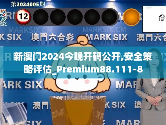 新澳门2024今晚开码公开,安全策略评估_Premium88.111-8