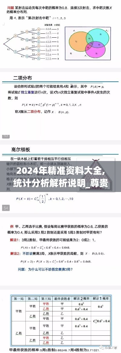 2024年精准资料大全,统计分析解析说明_尊贵款12.728-1