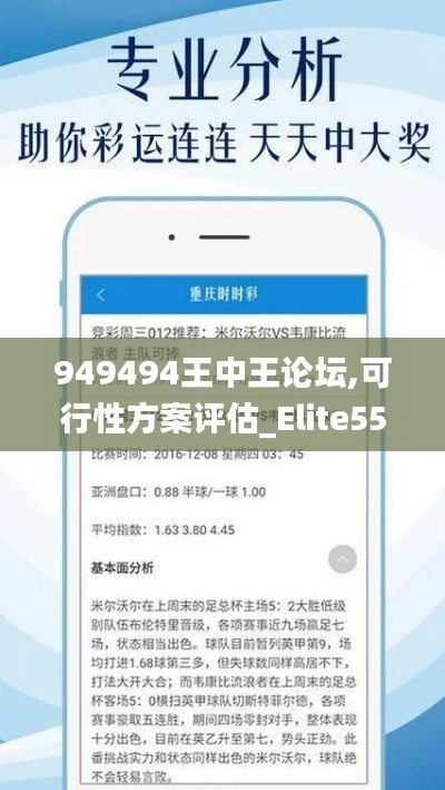 949494王中王论坛,可行性方案评估_Elite55.873-9