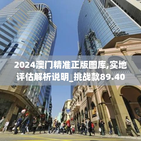 2024澳门精准正版图库,实地评估解析说明_挑战款89.406-6