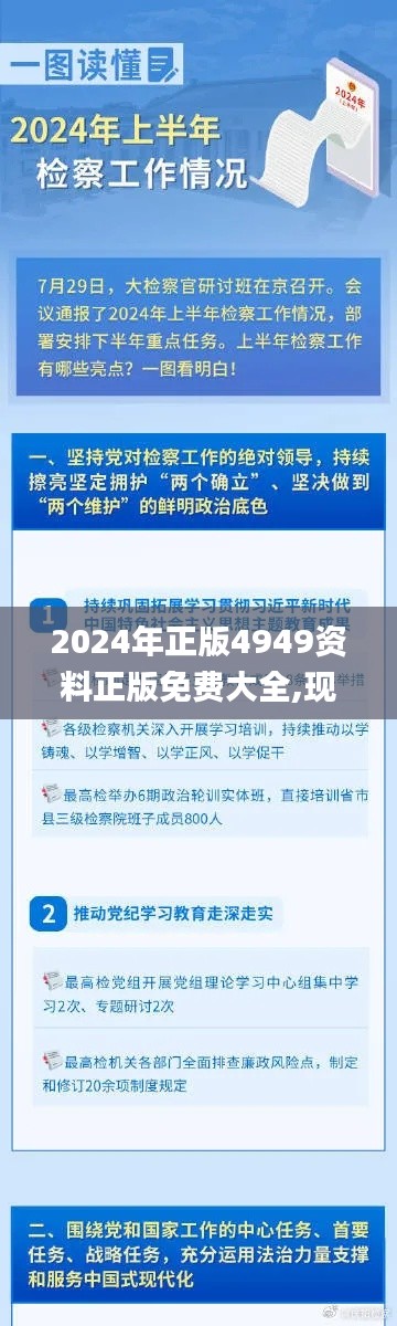 2024年正版4949资料正版免费大全,现状评估解析说明_基础版34.368-3