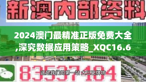 2024澳门最精准正版免费大全,深究数据应用策略_XQC16.670掌中宝