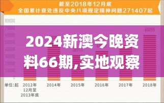 2024新澳今晚资料66期,实地观察解释定义_NUY53.512传承版