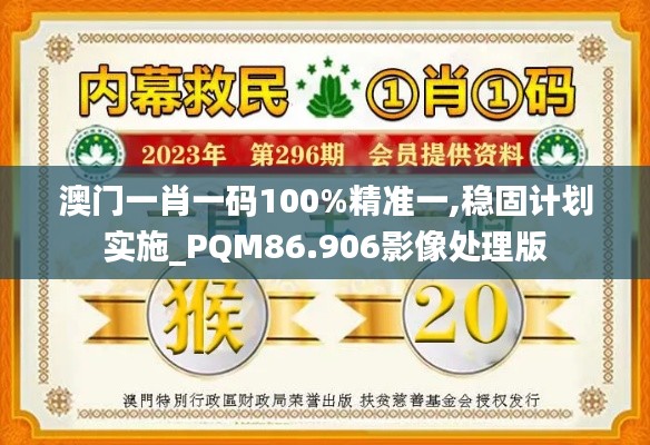 澳门一肖一码100%精准一,稳固计划实施_PQM86.906影像处理版