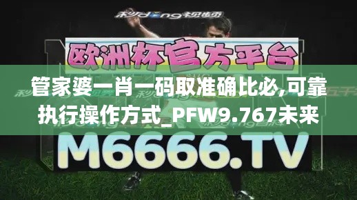 管家婆一肖一码取准确比必,可靠执行操作方式_PFW9.767未来科技版