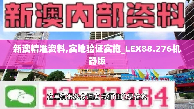 新澳精准资料,实地验证实施_LEX88.276机器版