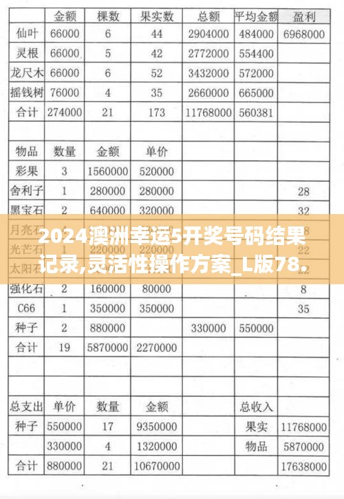 2024澳洲幸运5开奖号码结果记录,灵活性操作方案_L版78.423-5