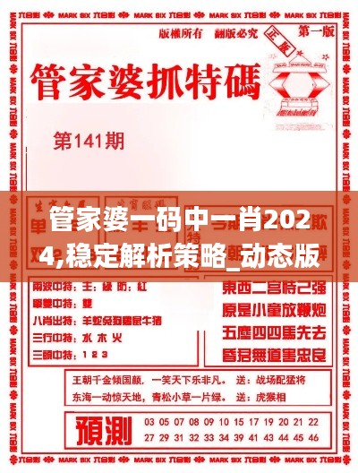 管家婆一码中一肖2024,稳定解析策略_动态版31.905-9