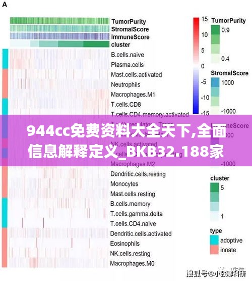 944cc免费资料大全天下,全面信息解释定义_BKB32.188家庭影院版