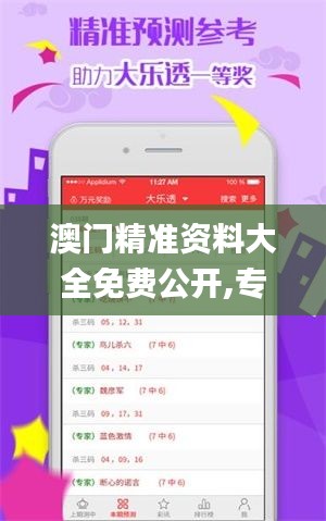 澳门精准资料大全免费公开,专家意见法案_SUP55.916工具版