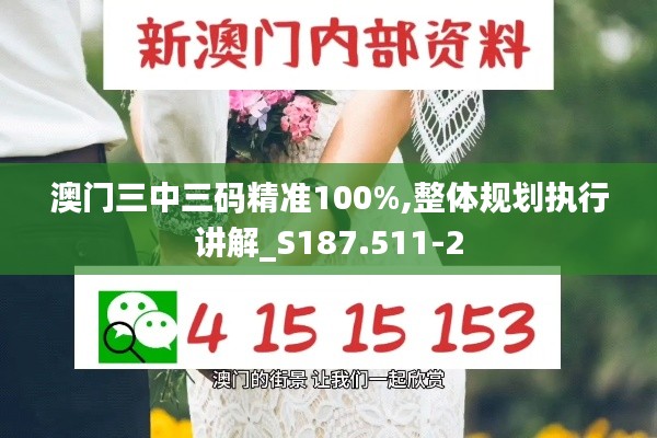 澳门三中三码精准100%,整体规划执行讲解_S187.511-2