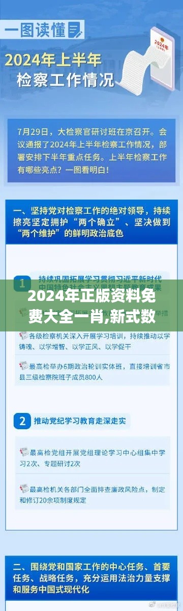 2024年正版资料免费大全一肖,新式数据解释设想_GEJ47.136活跃版