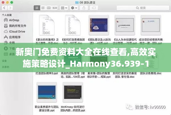 新奥门免费资料大全在线查看,高效实施策略设计_Harmony36.939-1