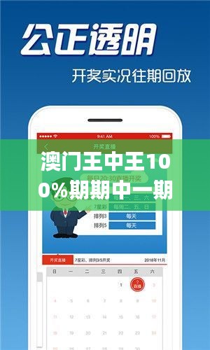 澳门王中王100%期期中一期,高效方法评估_app41.394-7