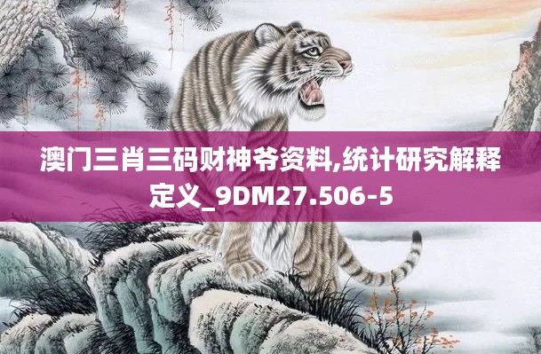 澳门三肖三码财神爷资料,统计研究解释定义_9DM27.506-5