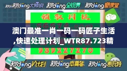 澳门最准一肖一码一码匠子生活,快速处理计划_WTR87.723精致生活版