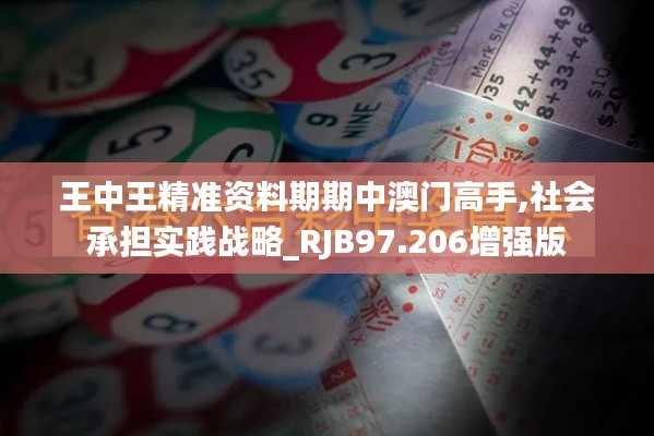 王中王精准资料期期中澳门高手,社会承担实践战略_RJB97.206增强版