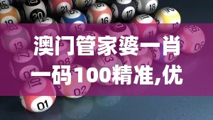 澳门管家婆一肖一码100精准,优选方案解析说明_顶级款85.206-4