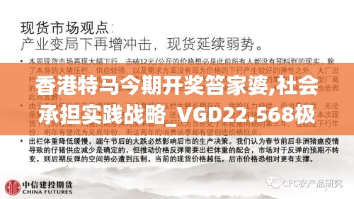 香港特马今期开奖笞家婆,社会承担实践战略_VGD22.568极致版