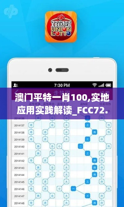 澳门平特一肖100,实地应用实践解读_FCC72.473专业版