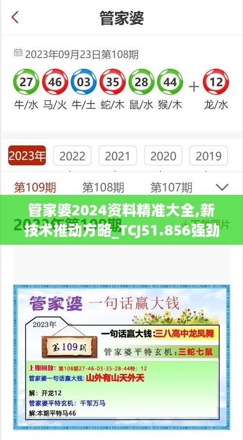 管家婆2024资料精准大全,新技术推动方略_TCJ51.856强劲版