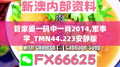 管家婆一码中一肖2014,军事学_TMN44.223安静版