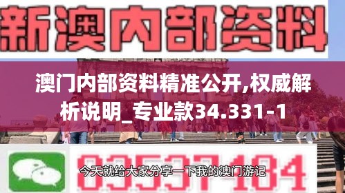 澳门内部资料精准公开,权威解析说明_专业款34.331-1