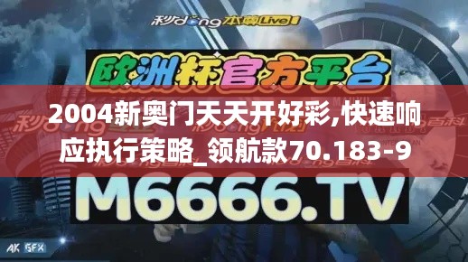 2004新奥门天天开好彩,快速响应执行策略_领航款70.183-9