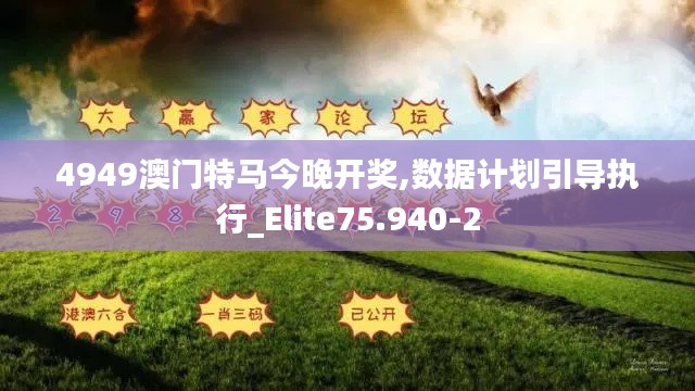 4949澳门特马今晚开奖,数据计划引导执行_Elite75.940-2