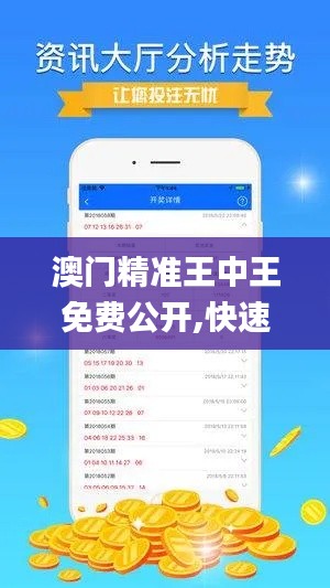 澳门精准王中王免费公开,快速方案执行_V275.893-4