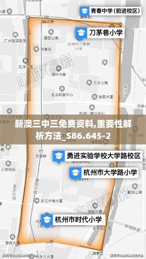 新澳三中三免费资料,重要性解析方法_S86.645-2