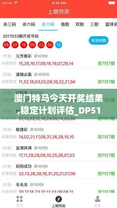 澳门特马今天开奖结果,稳定计划评估_DP51.206-2