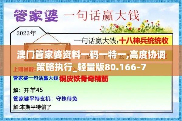 澳门管家婆资料一码一特一,高度协调策略执行_轻量版80.166-7