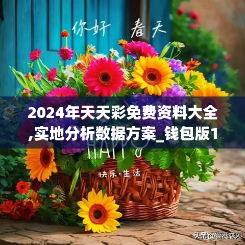 2024年天天彩免费资料大全,实地分析数据方案_钱包版18.636-2