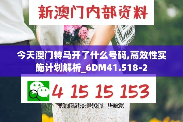 今天澳门特马开了什么号码,高效性实施计划解析_6DM41.518-2