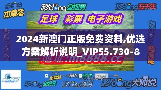 2024新澳门正版免费资料,优选方案解析说明_VIP55.730-8