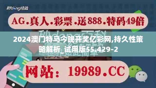 2024澳门特马今晚开奖亿彩网,持久性策略解析_试用版55.429-2