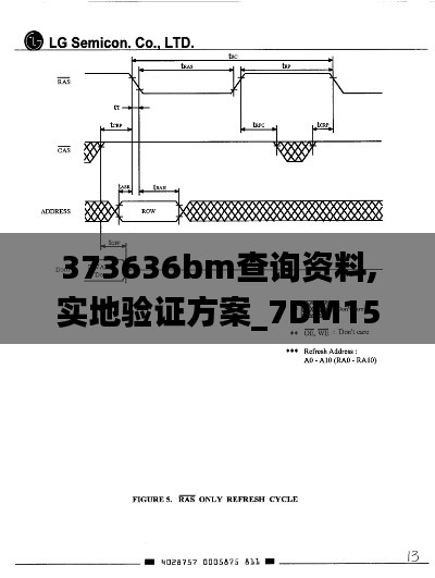 纲挈目张