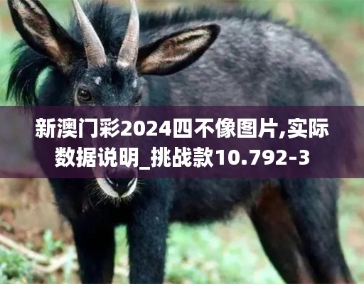 新澳门彩2024四不像图片,实际数据说明_挑战款10.792-3